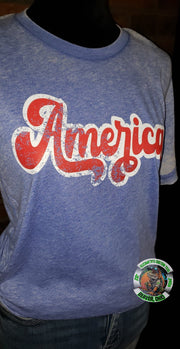 DISTRESSED AMERICA ACID WASH ADULT SHORT SLEEVE